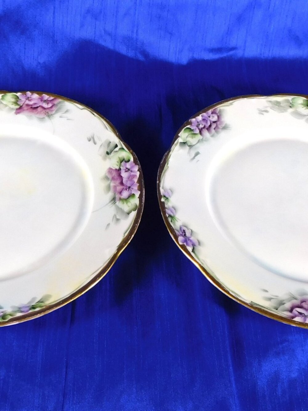 Pair of Two Hand Painted and Signed Hutschenreuther Dinner Plates # 27607